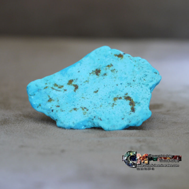 turquoise-s00204-p2